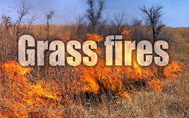 Crews Trying to Contain Grass Fire Near Borger.