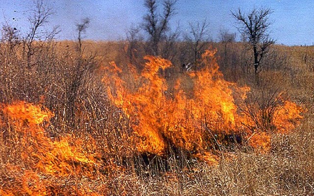 Potter County Commissioner’s Court Issues 90 Day Burn Ban