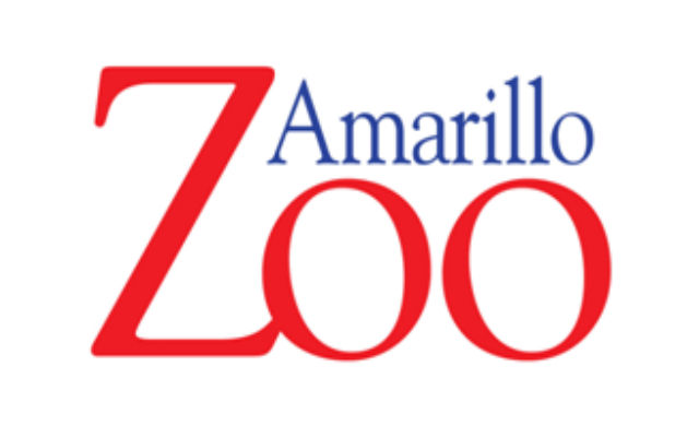Amarillo Zoo Welcomes New Member
