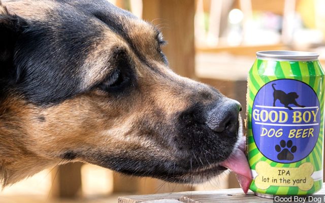 Texas Couple Creates A Beer For Your Dog