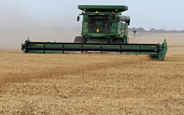 JD Ragland About: Harvest And Wheat crops