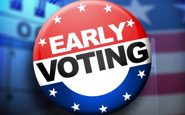 Potter-Randall Early Voting Turnout