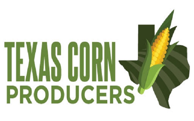 David Gibson From Texas Corn Producers