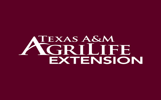 Texas A&M AgriLife Provides CARES Act Training to Local Producers