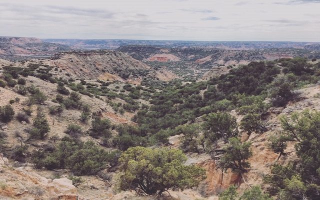 Palo Duro First Day Hike
