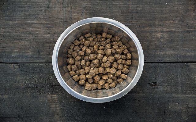 FDA Recalls Dog & Cat Food Over Life-Threatening Levels of Toxin