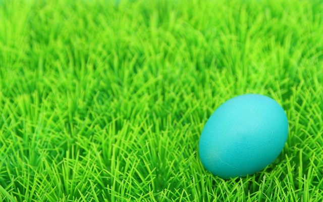 Amarillo Zoo to host Easter Eggcitement