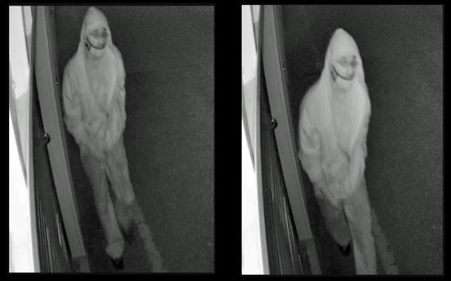 ACS Searching For Storage Facility Burglary Suspect