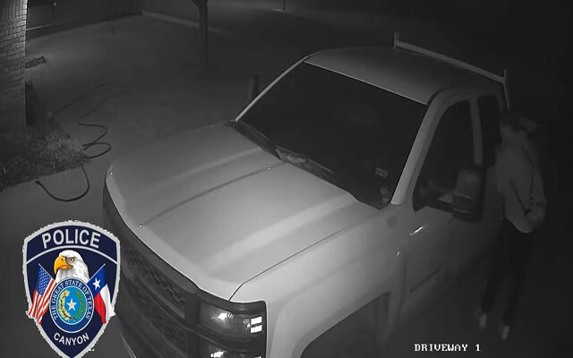 Canyon Police Department Searching For Car Theft Suspect