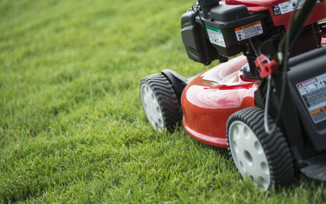 Texas AgriLife Extension: Lawn Care Tips and Tricks