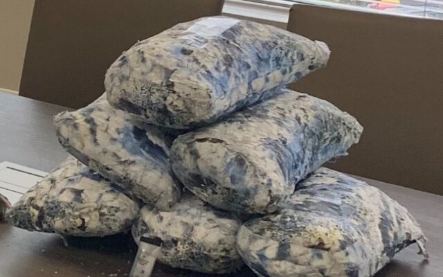 DPS Finds $2 million Worth of Drugs in Bust