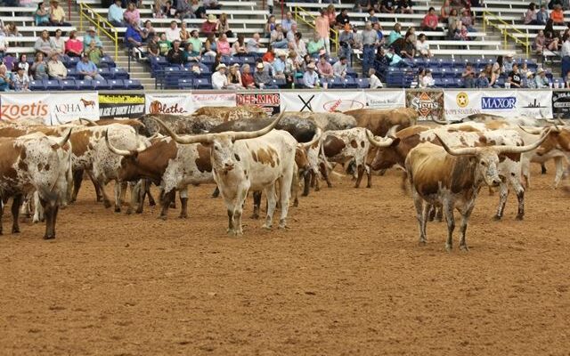 Coors Cowboy Club Ranch Rodeo This Weekend