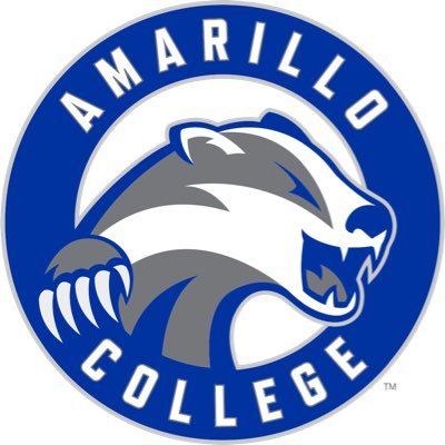 Amarillo College Foundation to launch Badger Bold