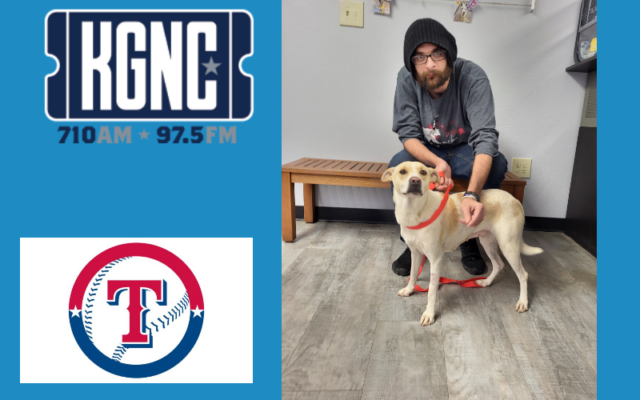 Amarillo Animal Managerment and Welfare Get a Pet and See The Rangers